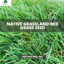 Load image into Gallery viewer, Native Grassland Mix Grass Seed - Native Lawn Delivery