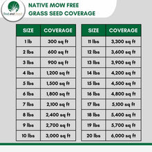 Load image into Gallery viewer, native mow free grass seed