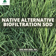 Load image into Gallery viewer, California Native grass