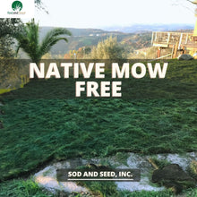 Load image into Gallery viewer, no mow grass