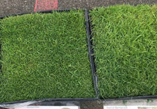 Load image into Gallery viewer, Native Bentgrass Sod on right