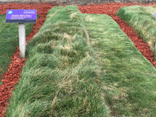 Load image into Gallery viewer, native grass mow free