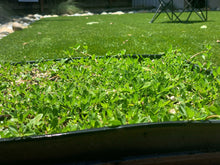 Load image into Gallery viewer, Native Kurapia ground cover phyla nodiflora