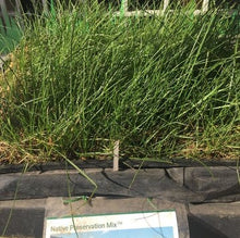 Load image into Gallery viewer, Native Preservation Mix Grass Seed - Native Lawn Delivery