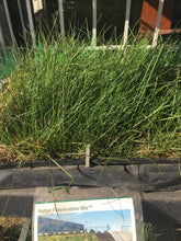 Load image into Gallery viewer, Native Preservation Mix - Bay Area Sod and Seed