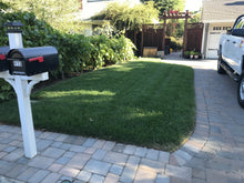 Load image into Gallery viewer, Organic Grass