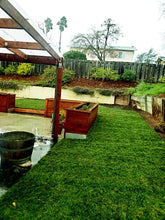 Load image into Gallery viewer, fescue bluegrass Benicia