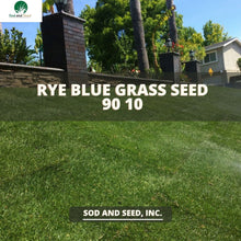 Load image into Gallery viewer, Rye Blue Grass Seed 90 10 - Native Lawn Delivery