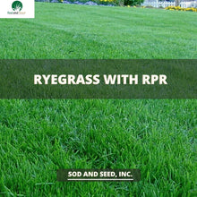 Load image into Gallery viewer, Rye grass with RPR