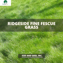 Load image into Gallery viewer, fine fescue sod mix