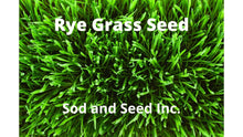 Load image into Gallery viewer, Rye grass seed