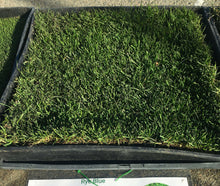 Load image into Gallery viewer, Delta Rye Blue grass - Bay Area Sod and Seed