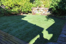 Load image into Gallery viewer, perennial ryegrass seed