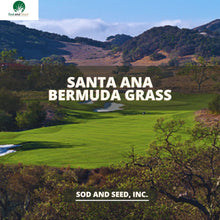 Load image into Gallery viewer, Santa Ana Best Bermuda Grass