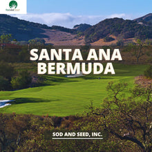 Load image into Gallery viewer, bermudagrass seed