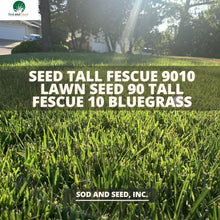 Load image into Gallery viewer, The Best fescue grass seed