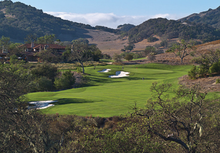 Load image into Gallery viewer, santa ana bermuda grass