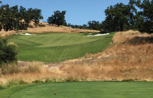 Load image into Gallery viewer, santa ana grass