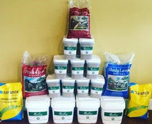 Load image into Gallery viewer, Shade Blend Fescue Seed for Grass Lawn - Native Lawn Delivery