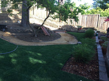 Load image into Gallery viewer, shade grass