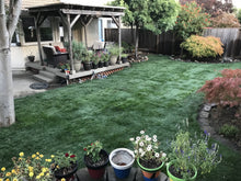 Load image into Gallery viewer, grass seed for shaded areas