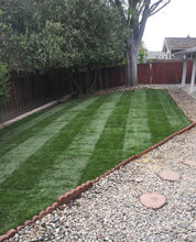 Load image into Gallery viewer, best grass seed for shade