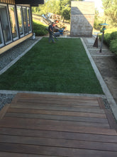 Load image into Gallery viewer, dense shade grass seed