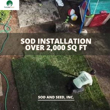 Load image into Gallery viewer, sod lawn installation