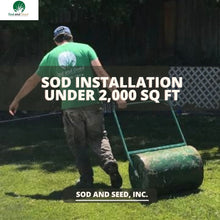 Load image into Gallery viewer, lawn installation