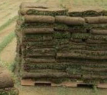 Load image into Gallery viewer, St. Augustine grass pallet