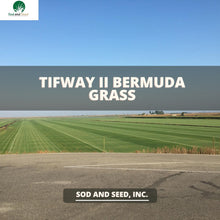 Load image into Gallery viewer, Tifway II Bermuda Grass - Native Lawn Delivery