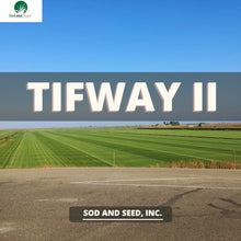 Load image into Gallery viewer, tifway II bermudagrass