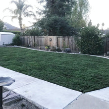 Load image into Gallery viewer, pet friendly fescue sod