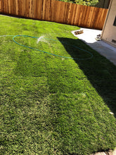 Load image into Gallery viewer, tall 90/10 sod and seed