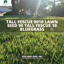 Load image into Gallery viewer, tall fescue grass seed