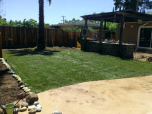 Load image into Gallery viewer, tall fescue sod