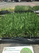 Load image into Gallery viewer, tall fescue sod price
