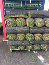 Load image into Gallery viewer, pallet of fescue with bluegrass sod