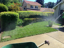 Load image into Gallery viewer, hybrid tall fescue sod