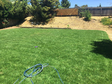 Load image into Gallery viewer, tall 9010 sod fescue with bluegrass lawn