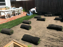 Load image into Gallery viewer, tall fescue sod