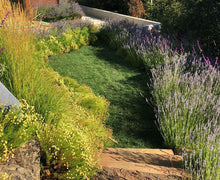 Load image into Gallery viewer, Delta Tall 9010