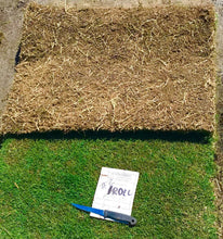 Load image into Gallery viewer, Tifway 419 Bermuda Grass - Native Lawn Delivery
