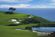 Load image into Gallery viewer, tifway 2 bermuda