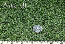 Load image into Gallery viewer, west coast tifway 2 bermuda grass