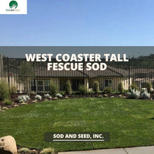Load image into Gallery viewer, Best Tall Fescue Sod
