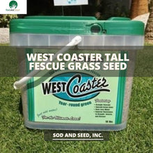 Load image into Gallery viewer, West Coaster Tall Fescue Grass Seed - Native Lawn Delivery