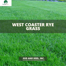 Load image into Gallery viewer, rye grass