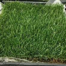 Load image into Gallery viewer, West Coaster Tall Fescue Grass Seed - Native Lawn Delivery