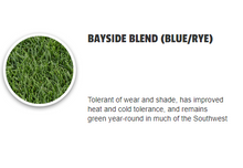 Load image into Gallery viewer, bayside bluerye sod